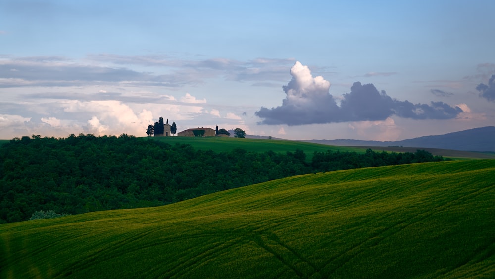 green trees and grass field