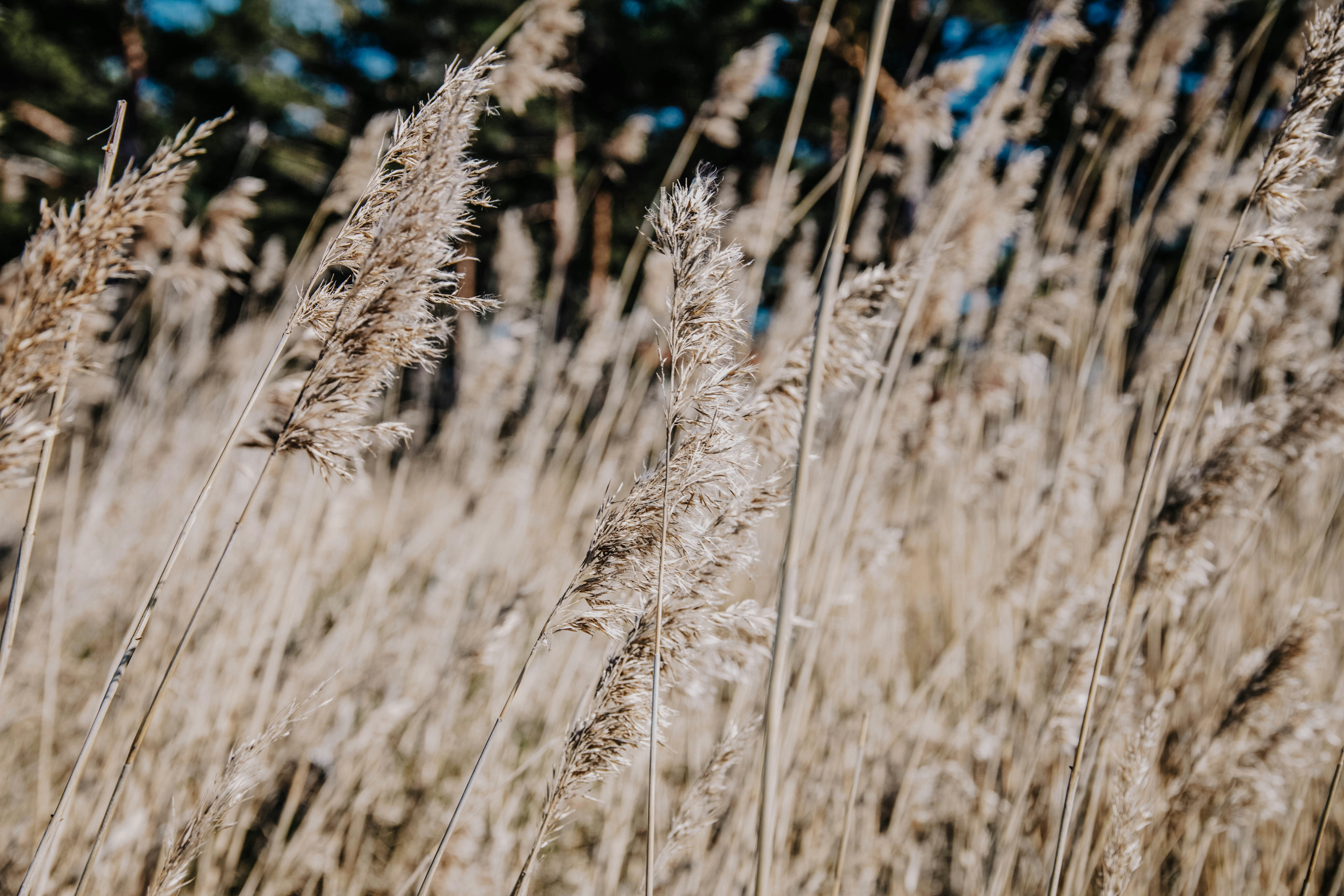 Photo by tuvaloland