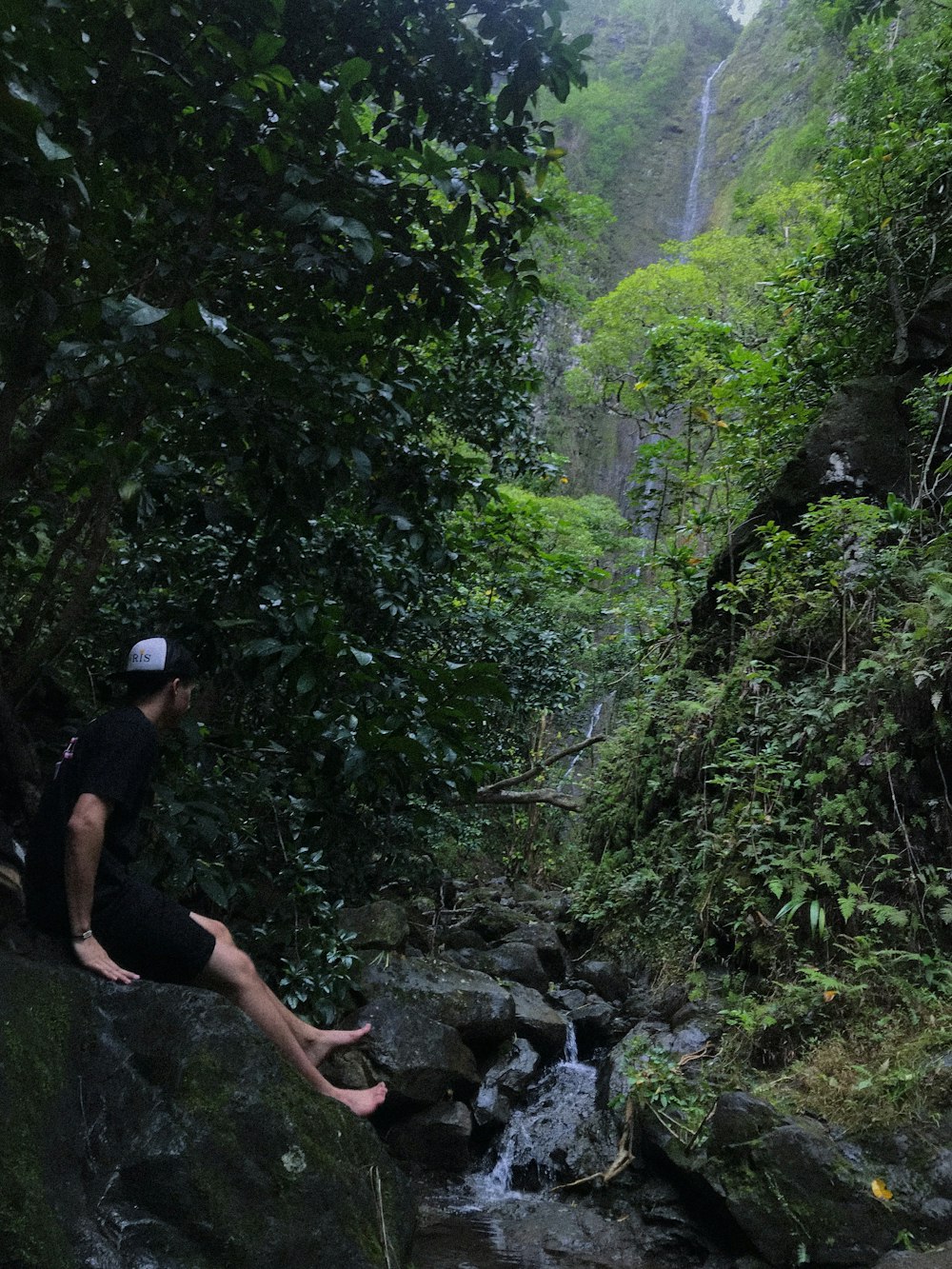 man sitting near waterfalls surrounded by plants