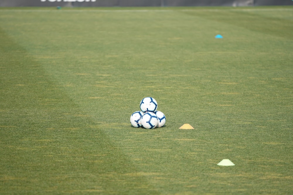 pile of white-and-blue soccer balls