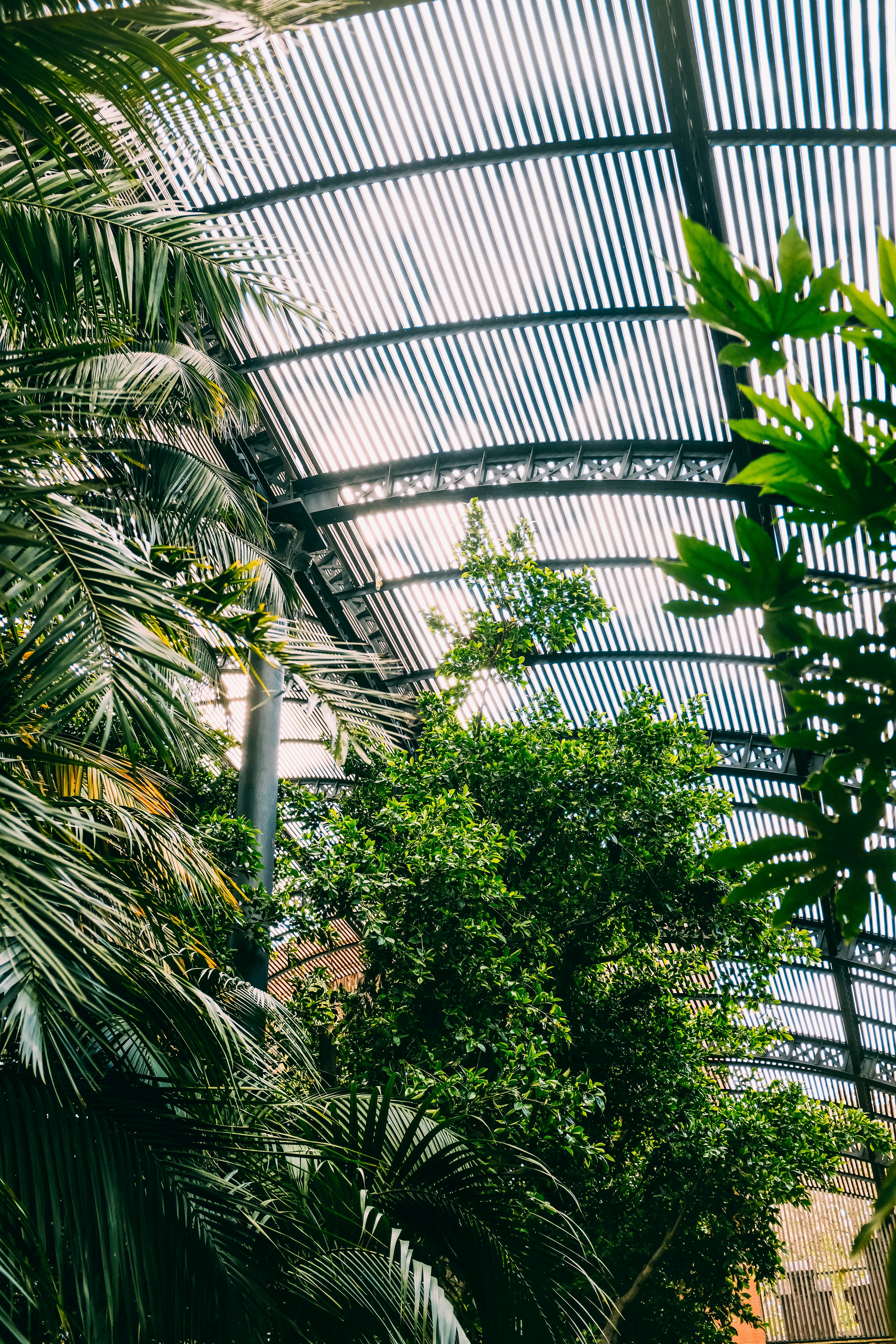 Photo by adrienolichon