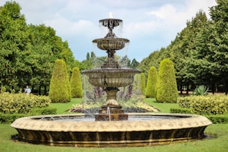 An elegant water feature surrounded by carefully arranged plants.