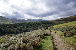 A snapshot of a scenic hiking trail with two figures walking side by side.