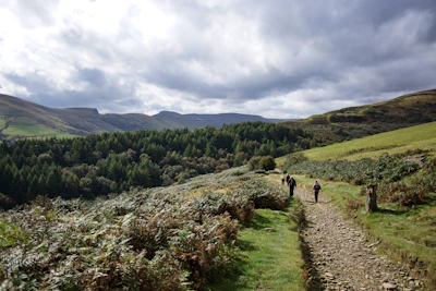 Visitors enjoying a peaceful hike along a forest trail in Phulchoki Hills.
