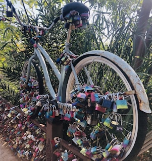 A bicycle is adorned with numerous colorful padlocks of various sizes and shapes, attached to its frame, wheels, and handlebars. The bike is positioned against a lush background of green foliage, suggesting an outdoor, possibly park-like setting. Sunlight filters through the leaves, casting soft shadows and creating a serene atmosphere.