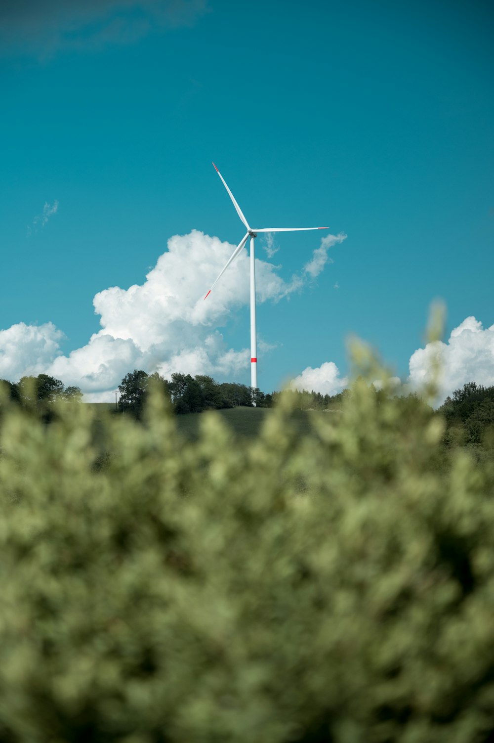 weiße Windmühle