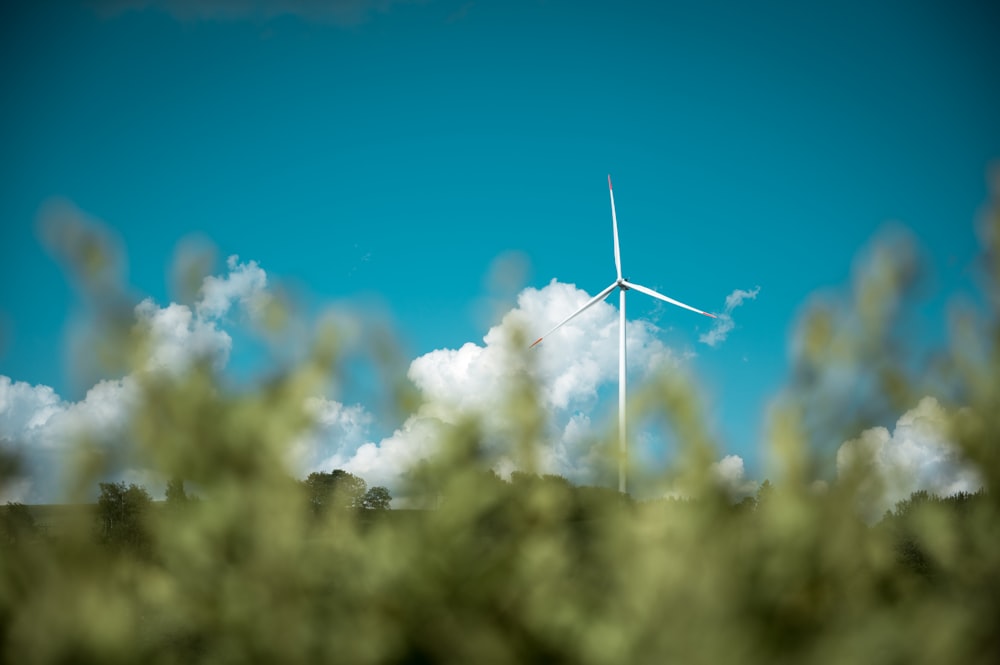 A large wind turbine in the distance with a hedgerow blurred out in front