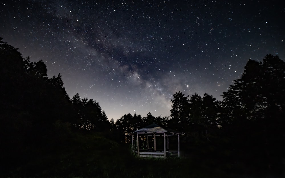 white gazebo surrounded by trees