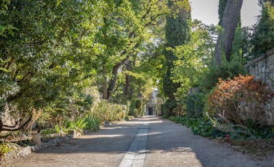 A serene pathway leading to the hotel entrance surrounded by lush greenery.