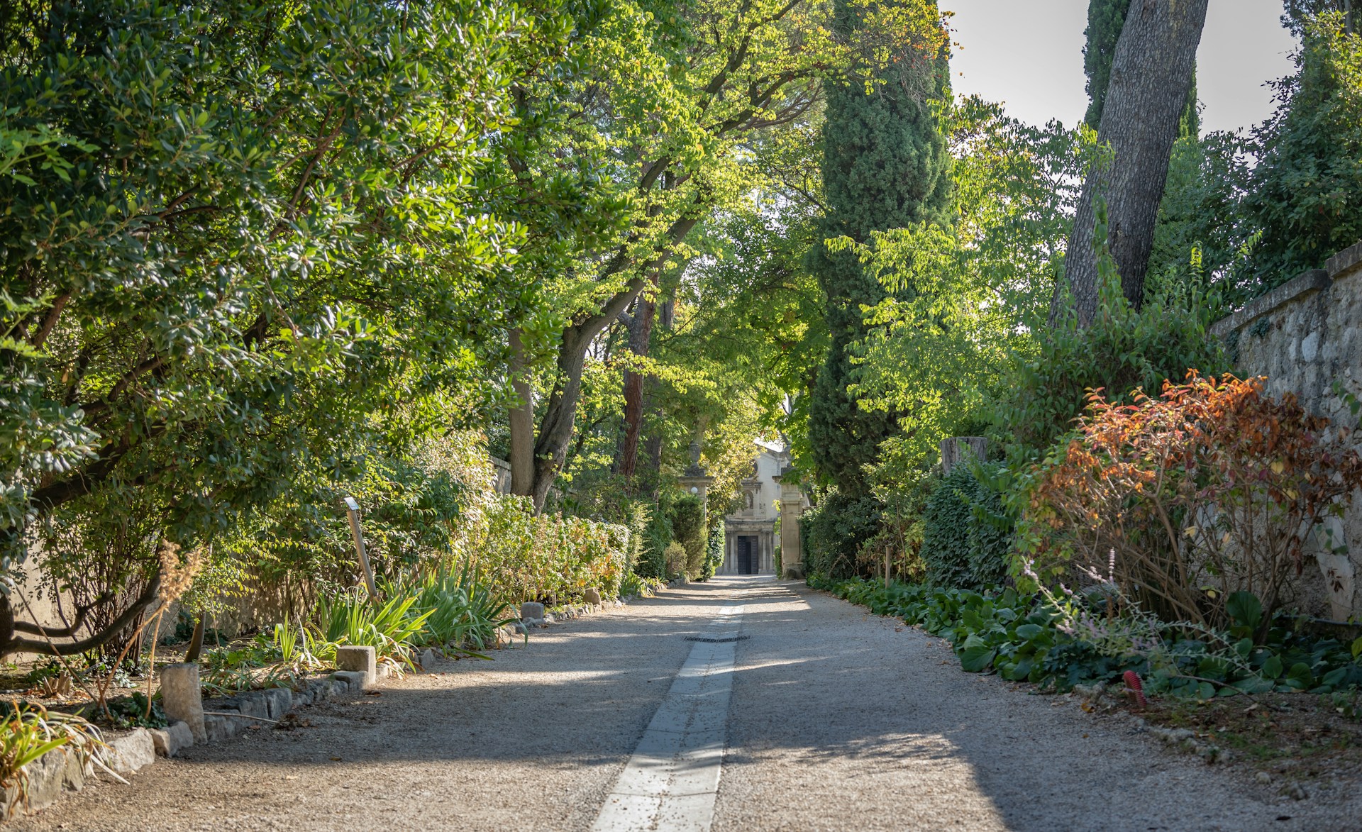 woman wearing yellow long-sleeved dress under white clouds and blue sky during daytime