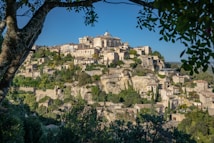 A picturesque hillside village with densely packed buildings made of stone and light-colored materials, nestled among lush greenery and trees. The architecture is rustic, exuding a serene and historical charm. The foreground features leaves and branches framing the scene, enhancing the natural feel.