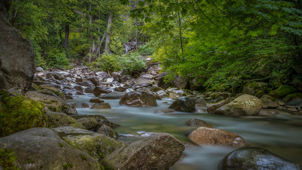 time-lapse photography of river