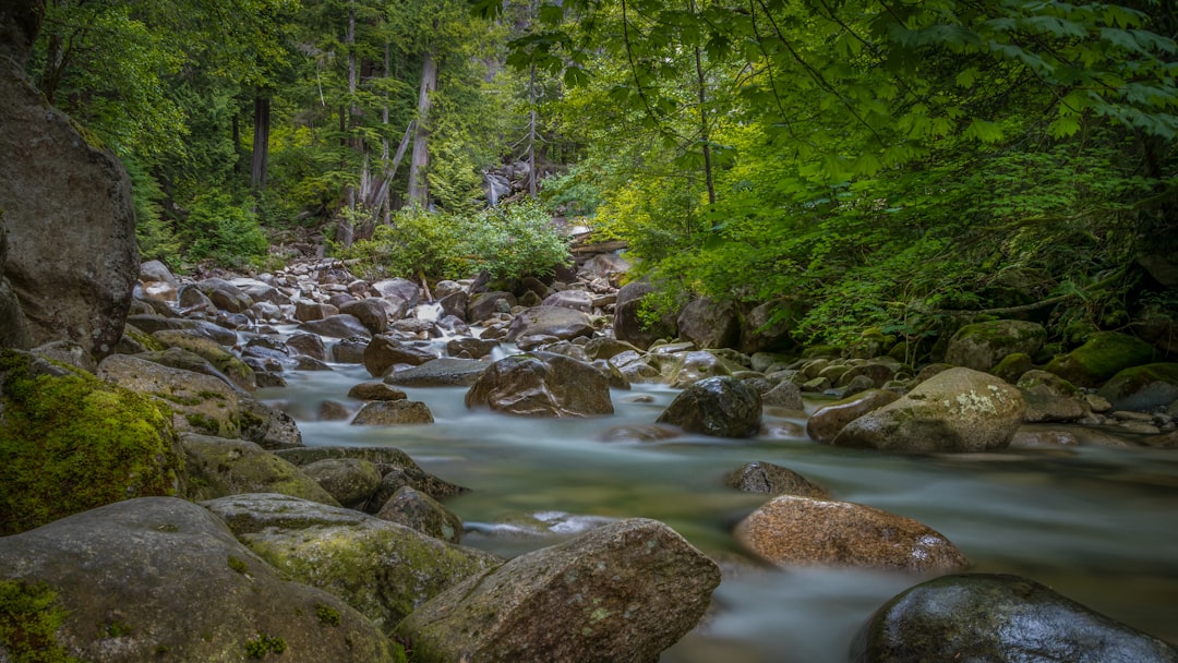 Mountain river photo spot Shannon Falls (NB) Whistler