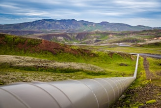gray pipe on green grass