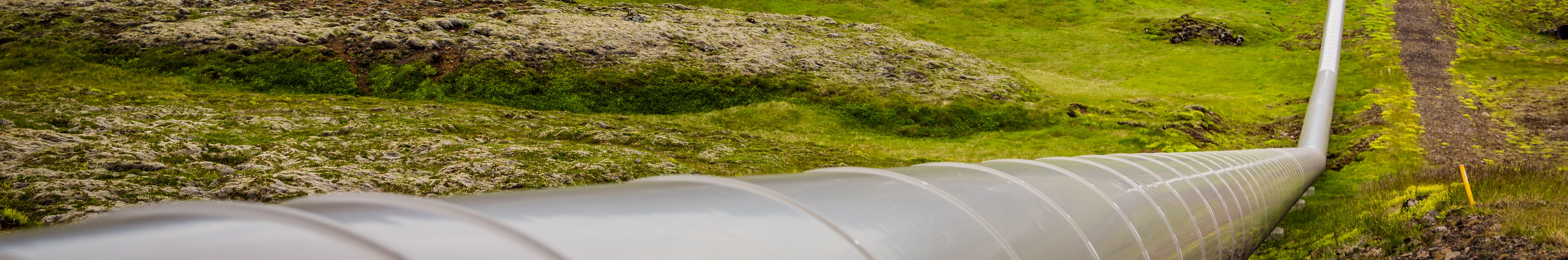 PPL energy used an estimated 49,600 ha of land, disturbing biodiversity