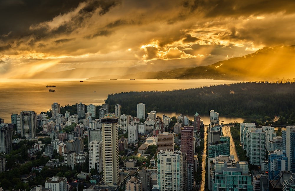 golden hour photo on high-rise buildings