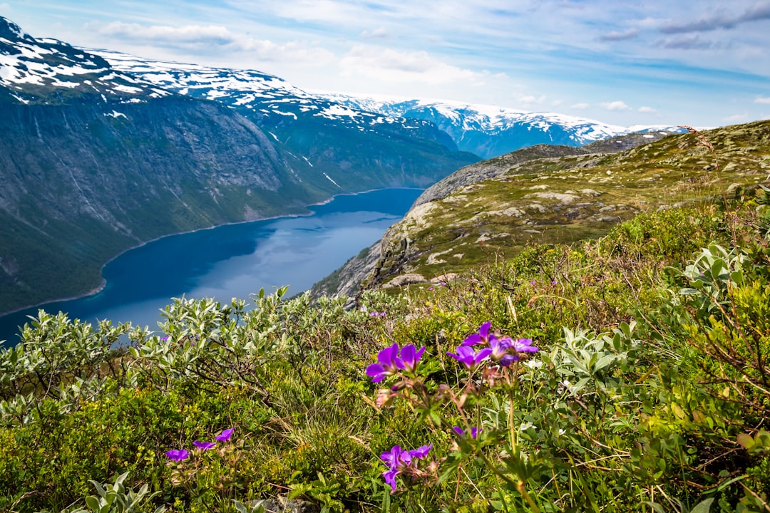 Nature reserve photo spot Unnamed Road Låtefossen Waterfall