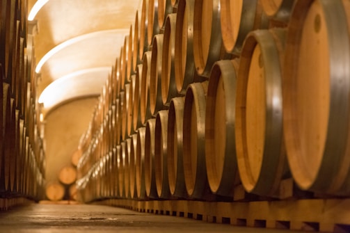 A long corridor of wooden barrels arranged in rows, likely in a winery or distillery cellar. The lighting is warm, creating a cozy and inviting atmosphere with a slight arch in the ceiling.