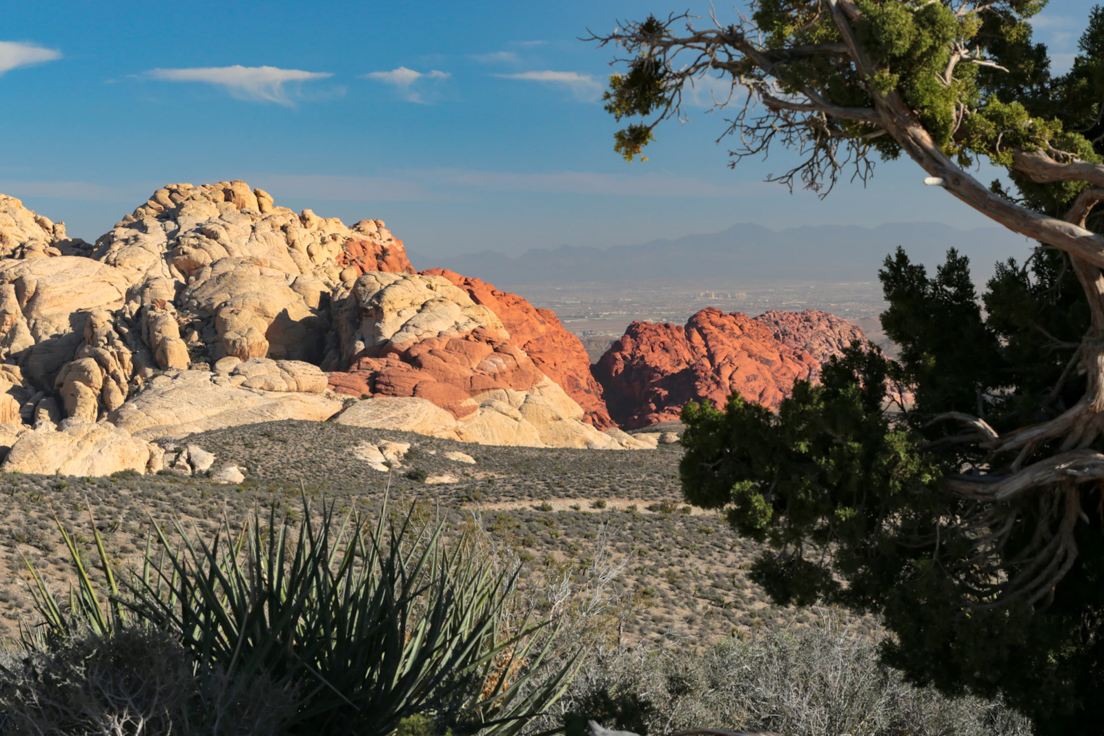 Red sandstone peaks at Red Rock Canyon outside the city.