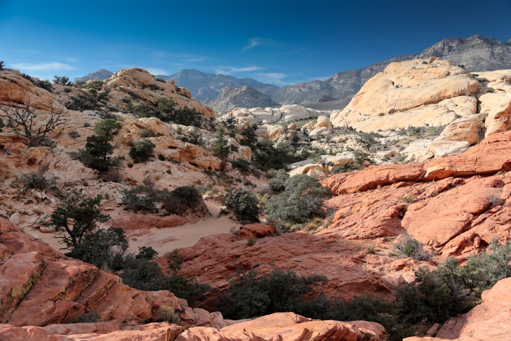 beige and brown rock formation