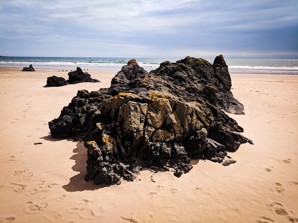 海岸の茶色の石