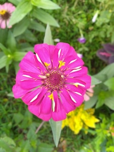 Wildflower Pin