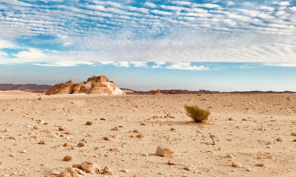 desert during daytime