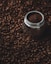 Premium Coffee Beans