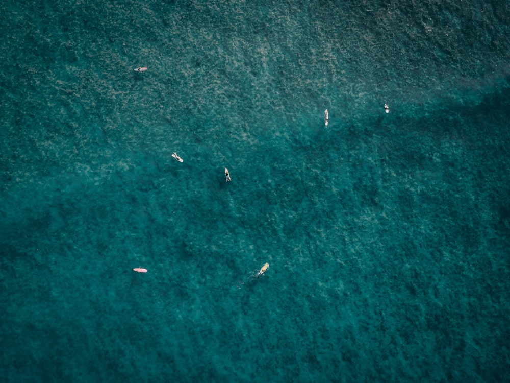 aerial photography of white boats on sea