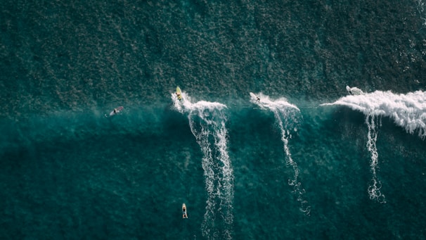 Several surfers ride the waves in a deep green ocean from an aerial view. The waves create white trails as they break, and the dark water contrasts with the surfboards. The scene captures the thrill and action of surfing.