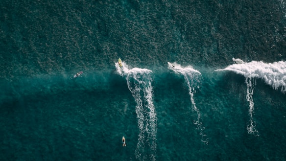 Several surfers ride the waves in a deep green ocean from an aerial view. The waves create white trails as they break, and the dark water contrasts with the surfboards. The scene captures the thrill and action of surfing.