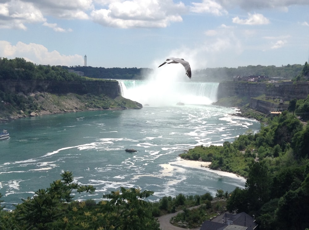 Vue sur la cascade