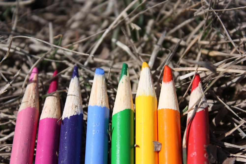 Ocho lápices de colores variados sobre hierba seca