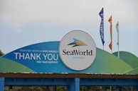 A prominently displayed SeaWorld San Diego sign with a circular logo. The background is a mix of blue and green hues, and the sign reads 'Thank You For Your Support' with an emphasis on saving animals. Colorful flags in blue, orange, and green are flying in the background.