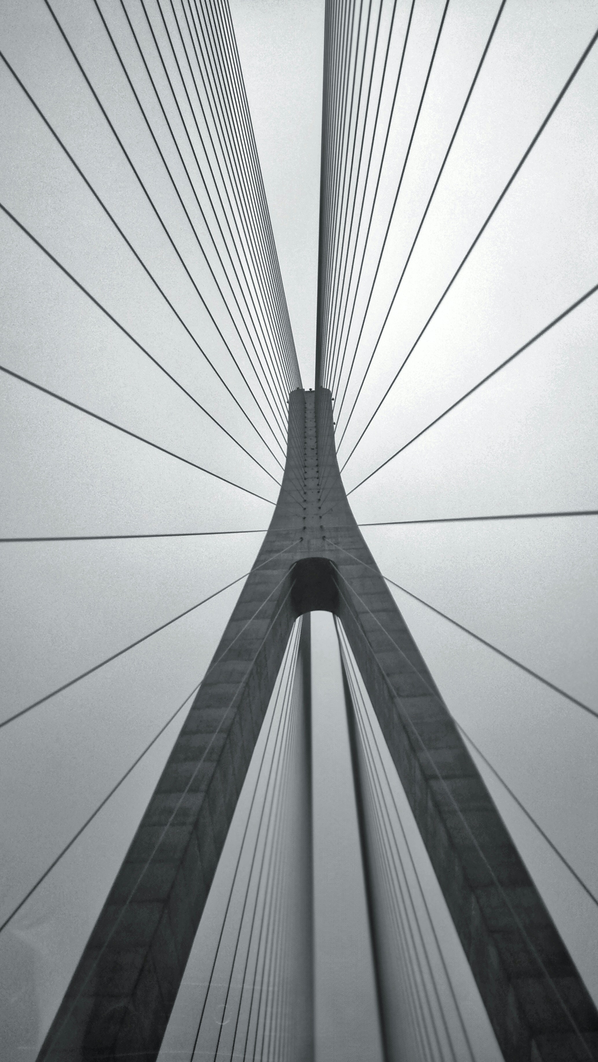 Photo by fatiaocheng