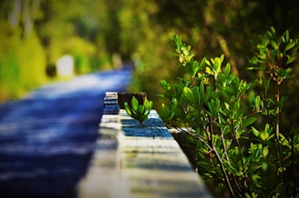 A close-up of a sturdy wooden fence in a lush green yard.