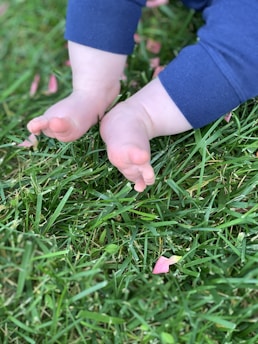 a close up of a child's feet in the grass