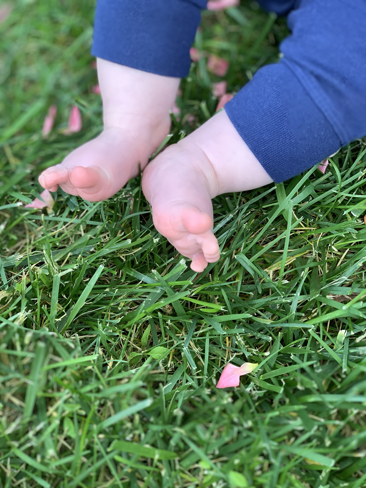 A baby's bare feet touching grass outdoors, backyard sensory play for a baby who isn't walking yet