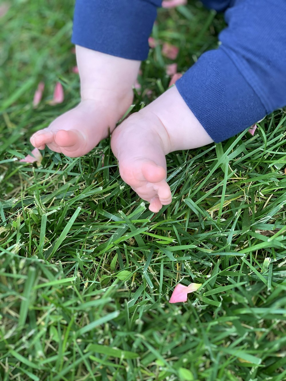 Un primo piano dei piedi di un bambino nell'erba