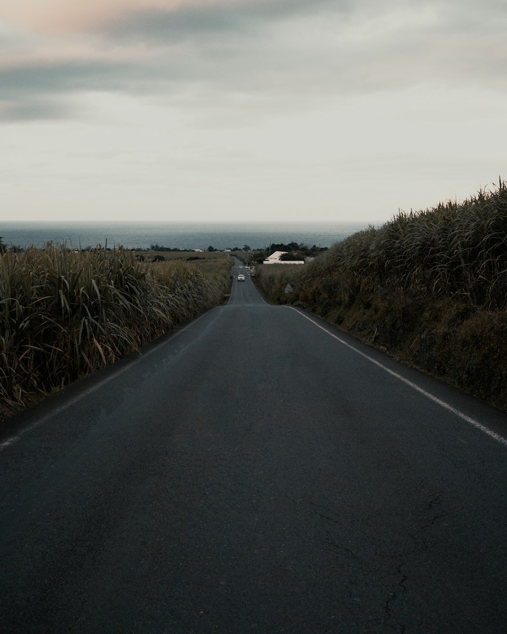 road between grass field