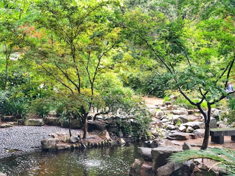stones beside river