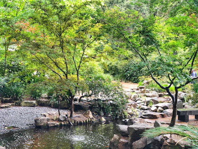 A serene garden corner decorated with various natural stones and lush plants.