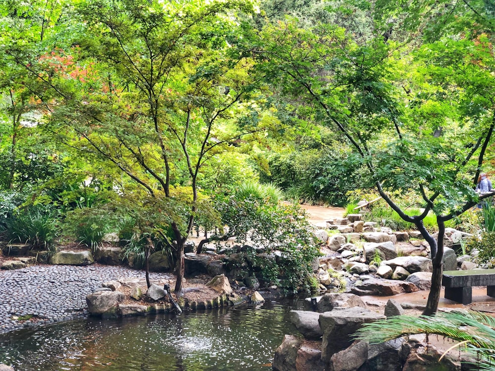 stones beside river