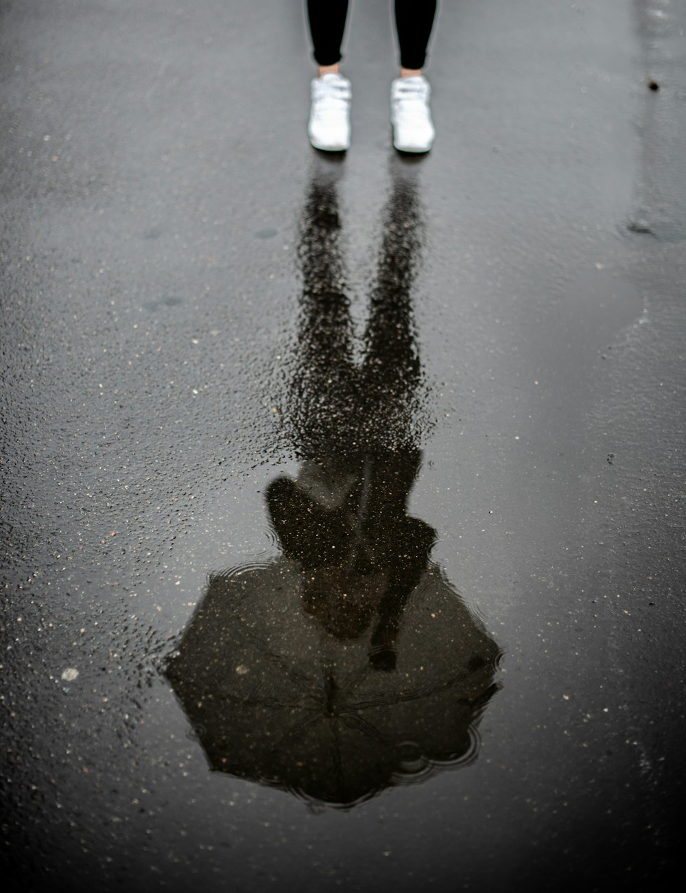 person holding umbrella