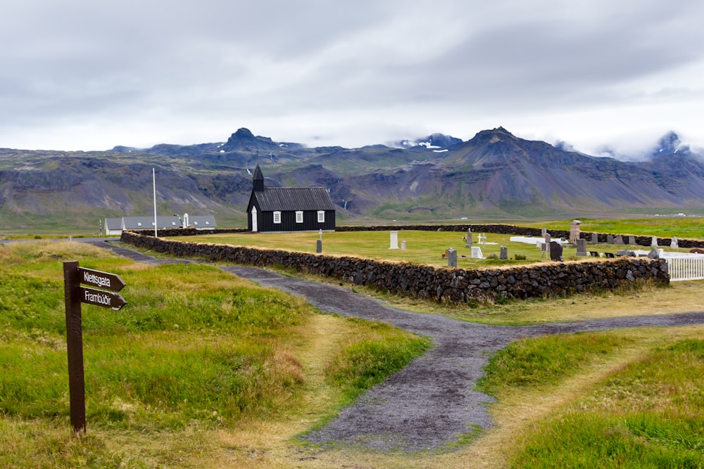 green grass field