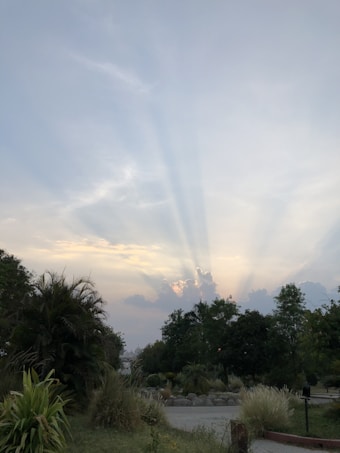 Sunrays extend across a partly cloudy sky, casting a serene glow over a lush park area with tall trees and various shrubs in the foreground.
