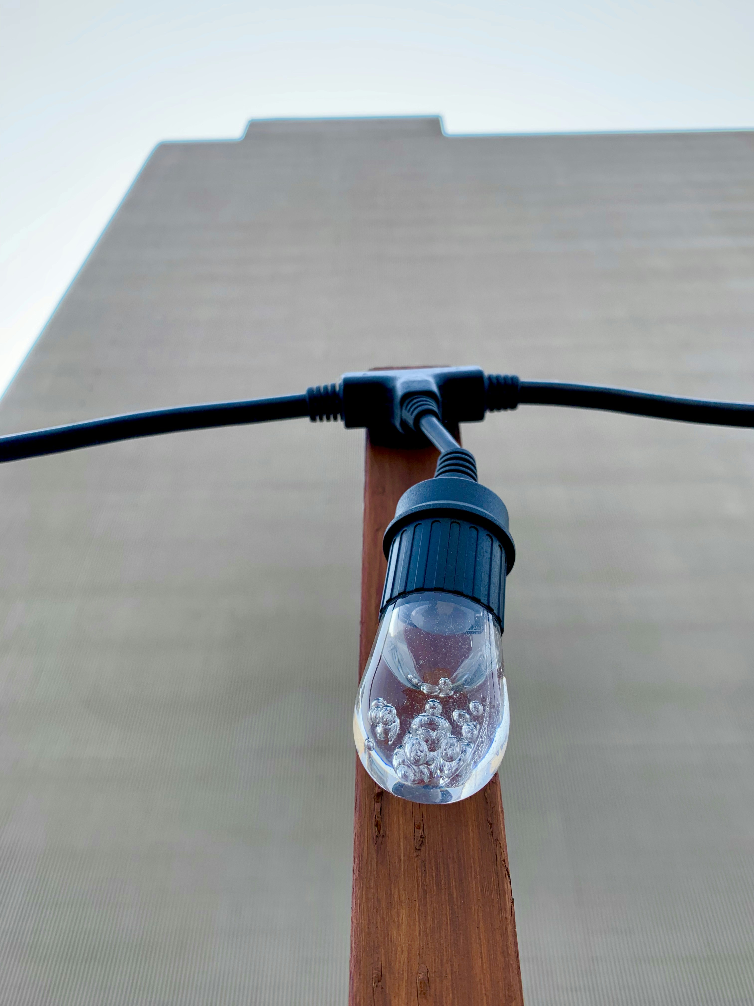 closeup photo of bulb