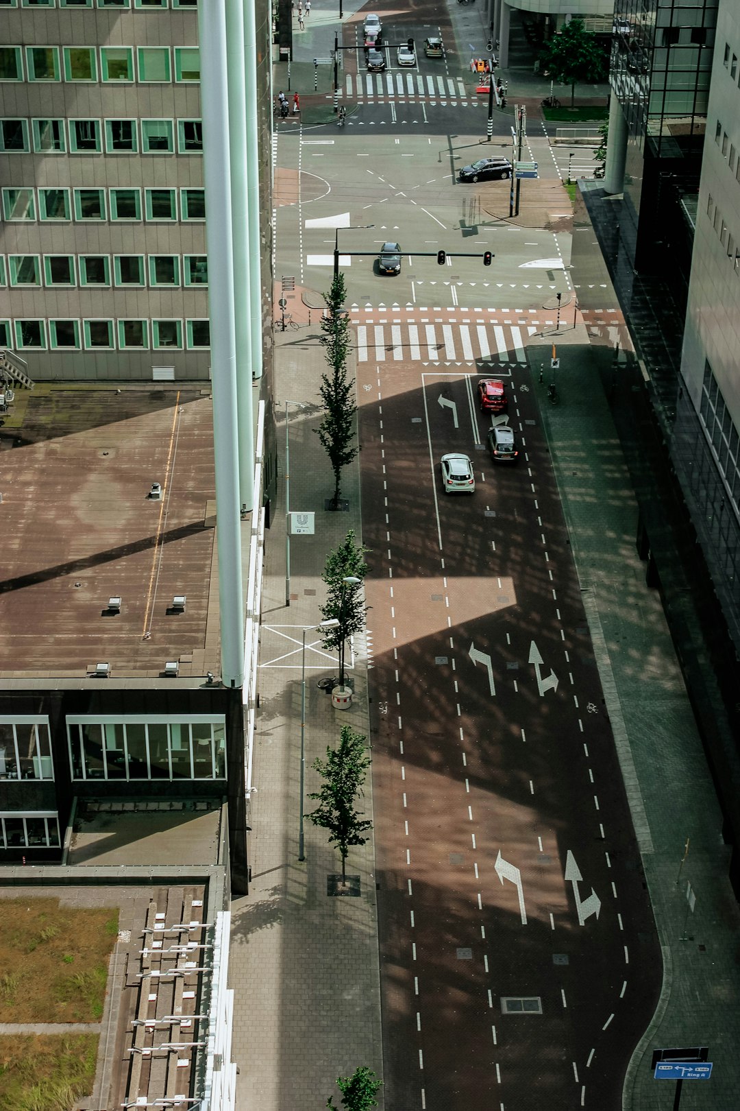 cars on road near buildings during day