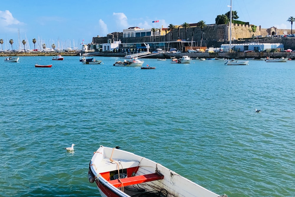 boats near harbour during daytime