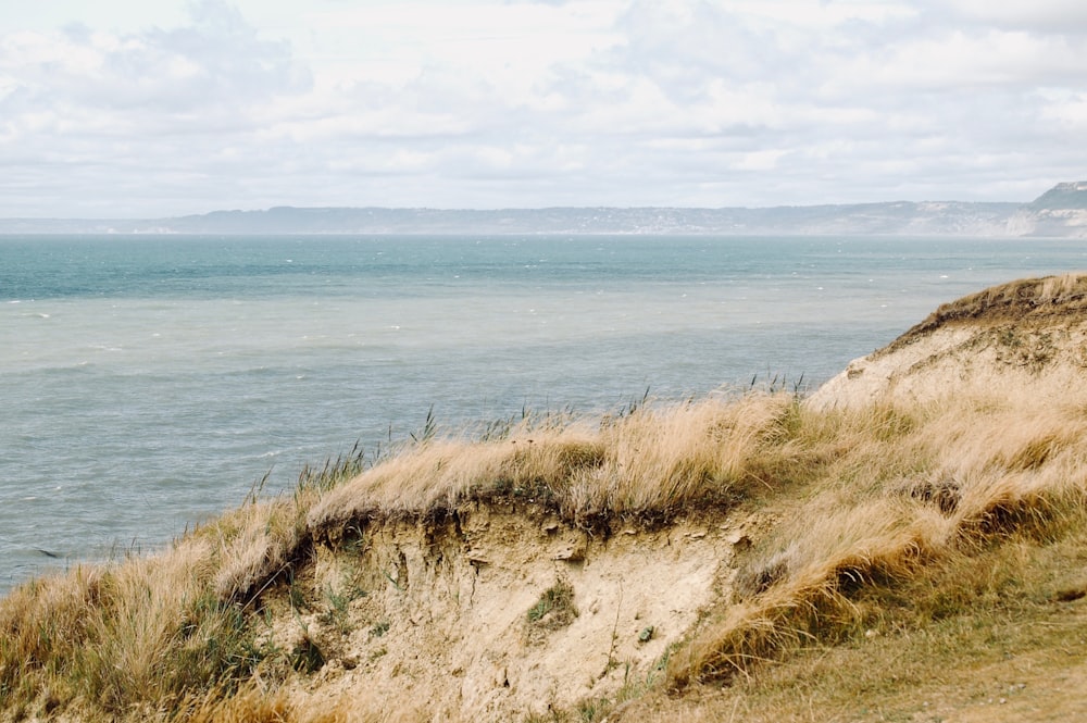 grassy hill near body of water